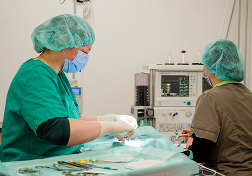 Operatie surgery